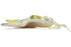 H0363P_2 (2024-07-25 05:02:37)