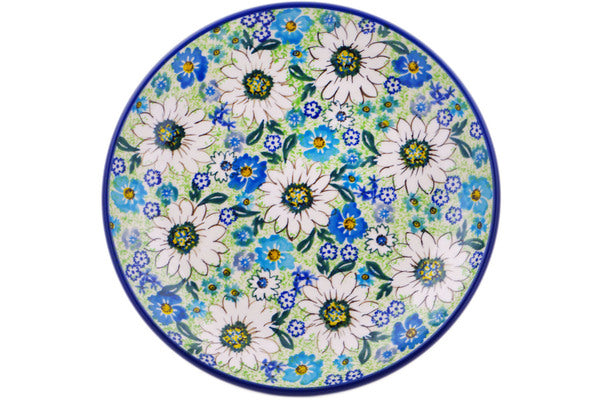 H0850Q_1 (2025-06-17 13:36:21)