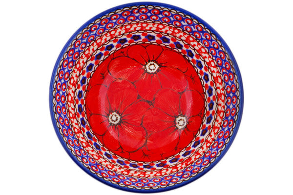 H0981R_1 (2025-05-04 14:17:06)