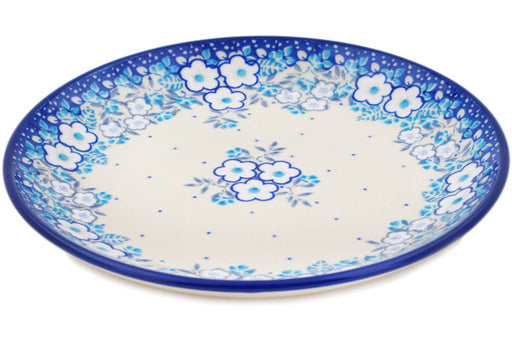 H1065Q (2025-05-11 02:44:31)