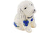 H1134P (2026-06-08 10:25:32)