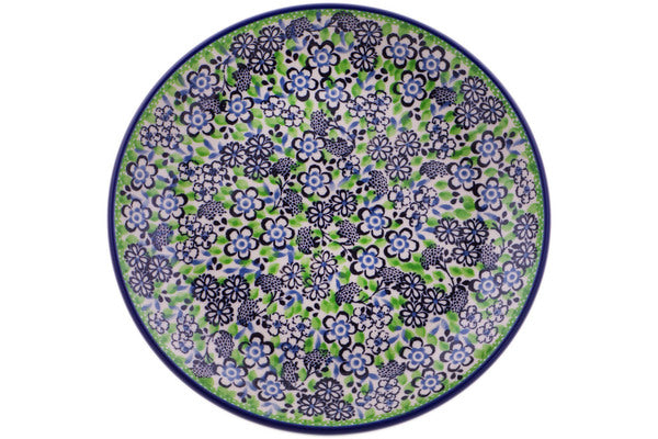 H1321Q_1 (2025-04-13 06:05:32)