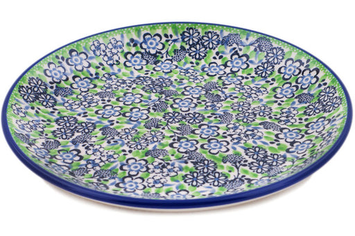 H1321Q (2025-04-13 06:05:32)