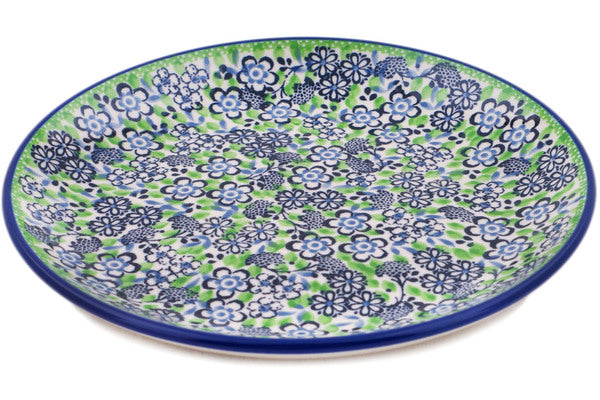 H1321Q (2025-04-13 06:05:32)