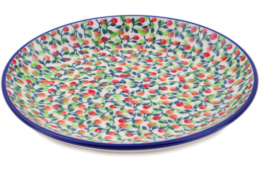 H1325Q (2025-06-13 15:28:17)