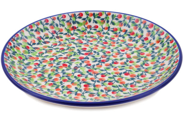 H1325Q (2025-06-13 15:28:17)