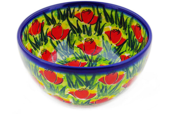 H1569R (2025-04-27 10:46:27)