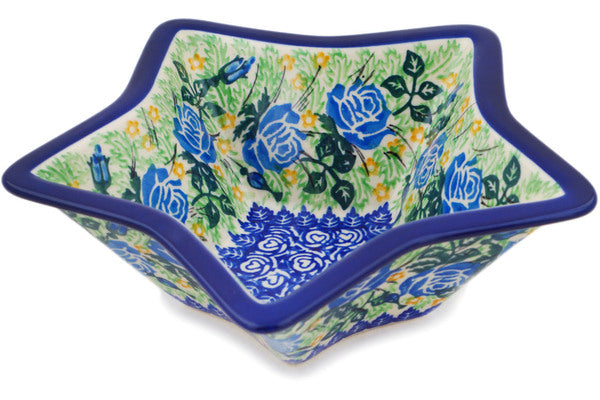 H2181Q (2025-02-18 06:28:56)