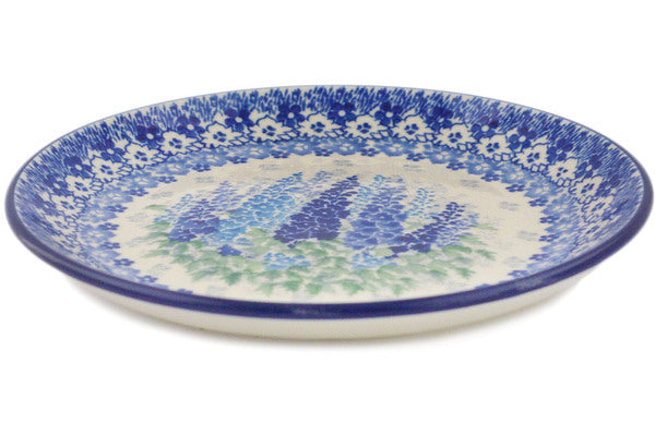 H4249Q_1 (2025-04-19 11:24:10)