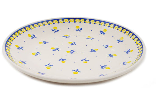 H4366Q (2025-06-27 01:14:08)