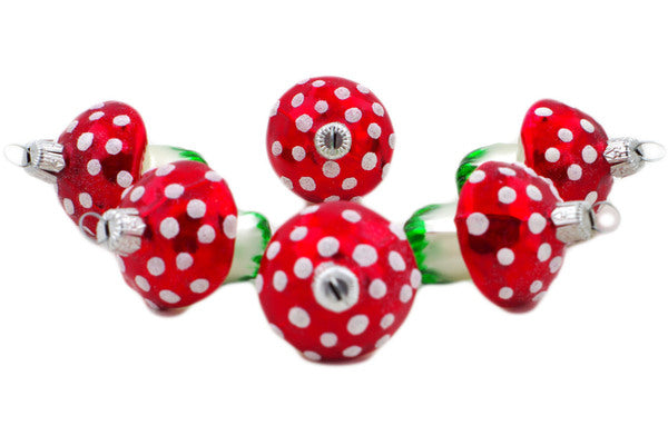 H4626O_2 (2025-02-08 11:54:05)