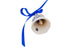 H5531P_0 (2025-10-21 06:24:44)