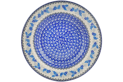 H7608Q (2025-04-17 09:50:29)