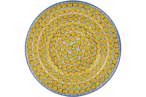 H7919Q (2025-07-20 14:17:28)