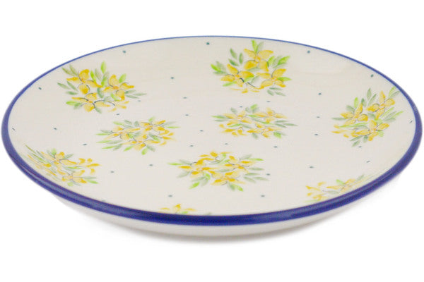 H8918Q_1 (2025-05-20 11:43:06)