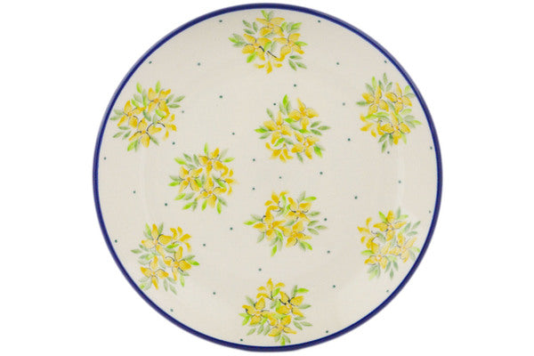 H8918Q (2025-05-20 11:43:06)