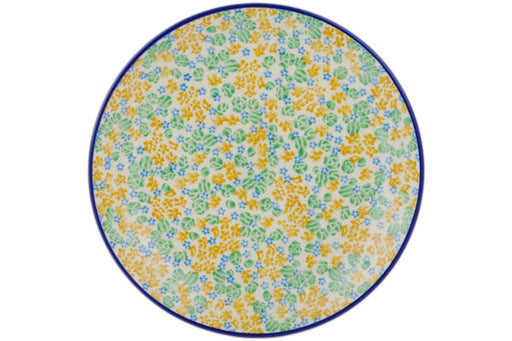 H9175Q (2025-06-19 12:06:52)