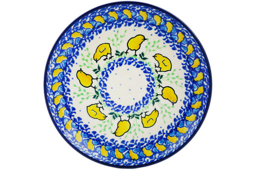 H9212Q (2025-04-17 09:51:17)