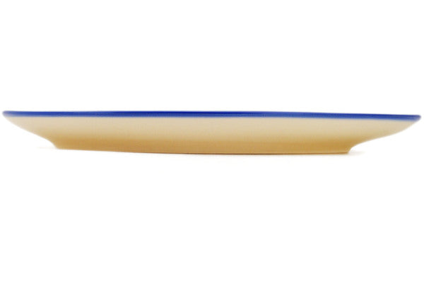 H9795N_2 (2025-04-08 04:58:27)